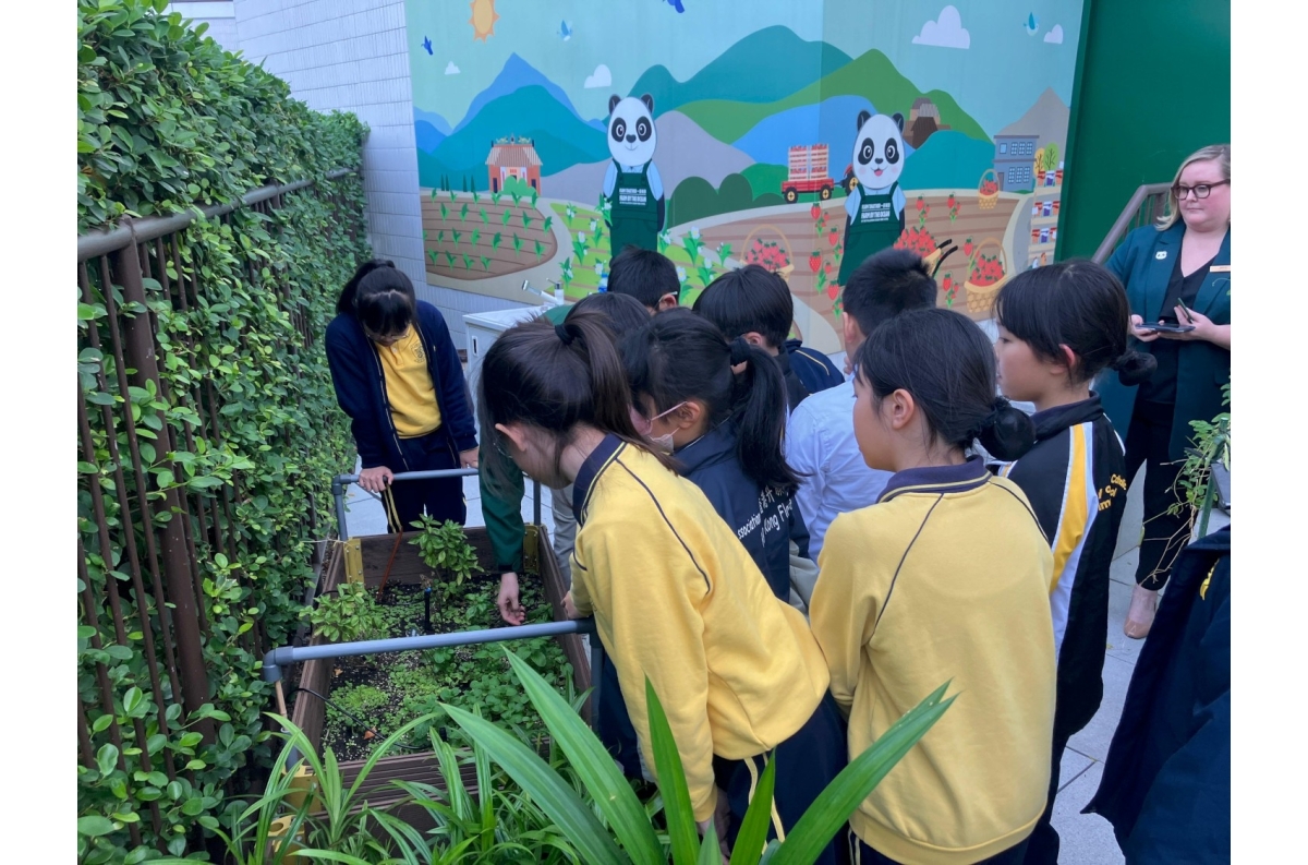 4. WhatsApp Image 2024-12-18 at 10.09.42-1500